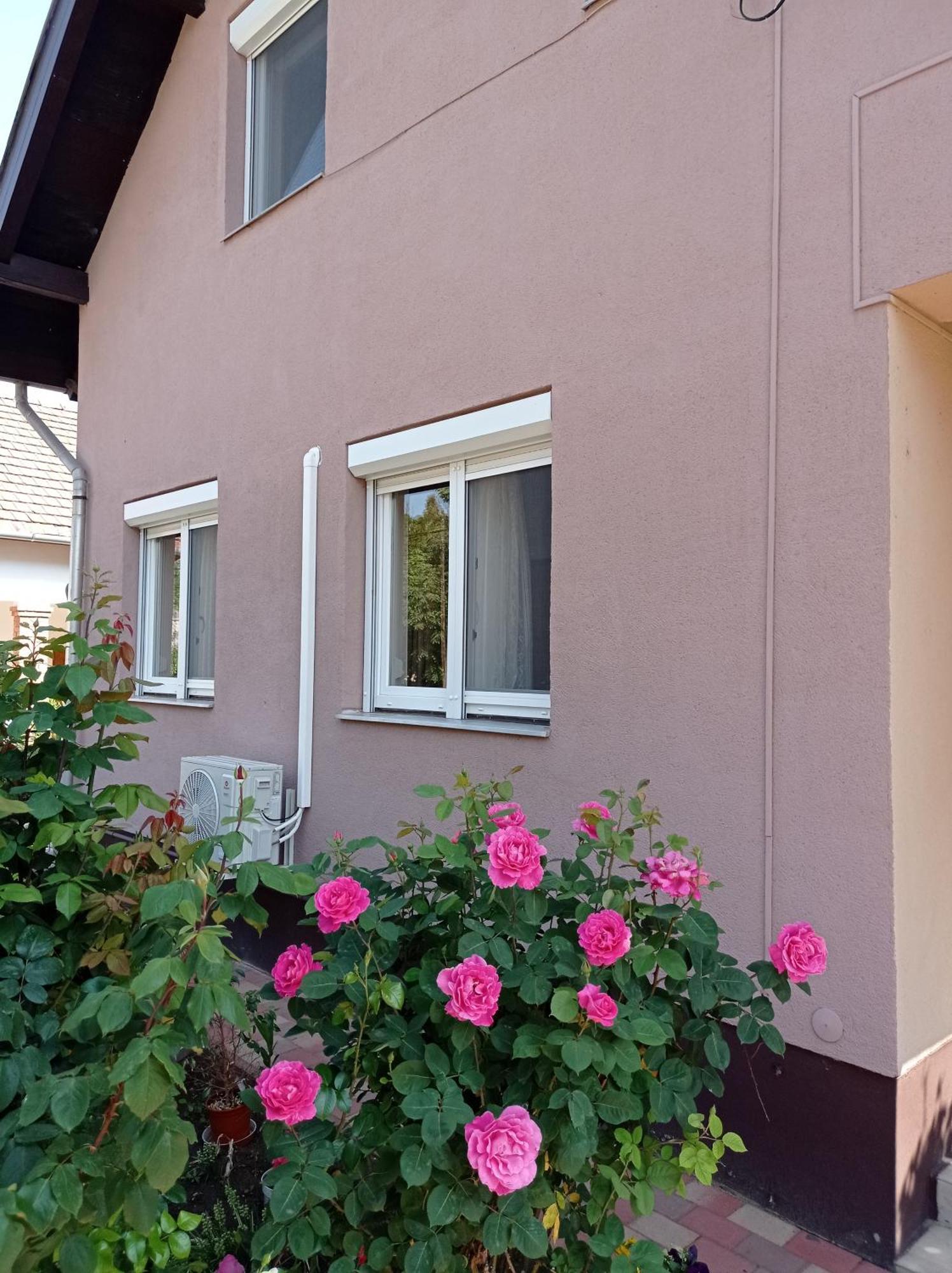 Partifecske Vendeghaz Hotel Tiszafüred Buitenkant foto